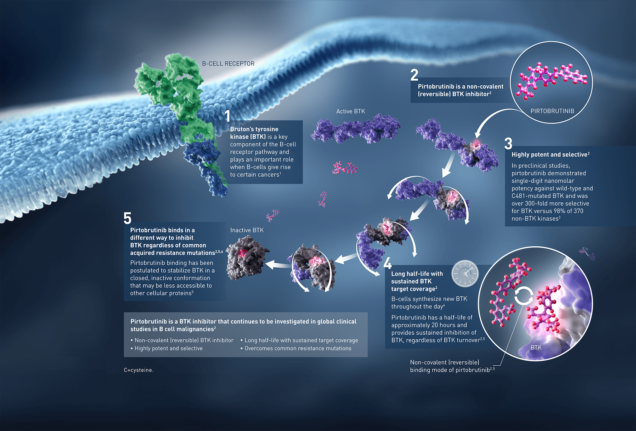 BTK Inhibitor