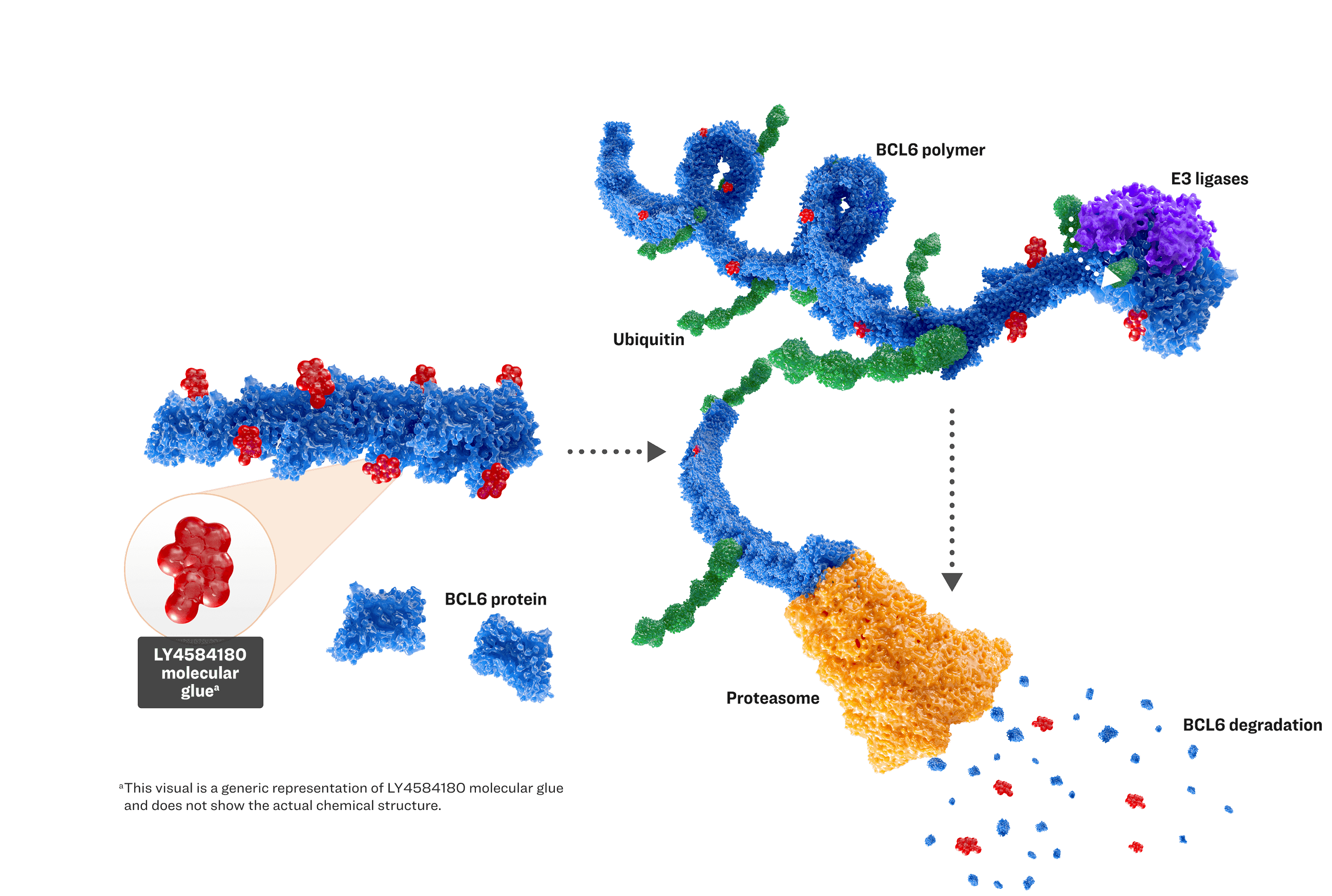 Lilly’s first-in-class molecular glue